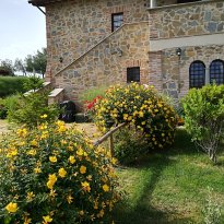 Castiglione del Lago Umbria