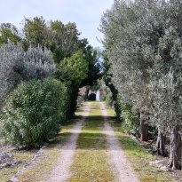 Ostuni Puglia
