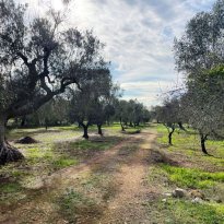 San Michele Salentino Puglia