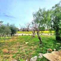 Ostuni Puglia