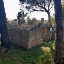 Tempio Pausania Sardegna