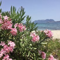 San Pantaleo, Olbia Sardegna