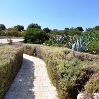 Carovigno Puglia