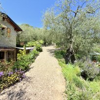 Apricale Liguria