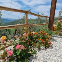 Calci Toscana