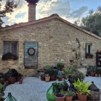 Cupramontana Le Marche