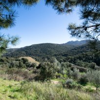 Luras Sardegna