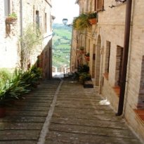 Moregnano Le Marche