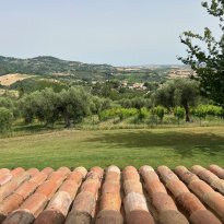 Cartoceto Le Marche