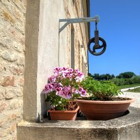 Ostra Le Marche
