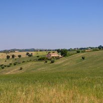 Ostra Le Marche