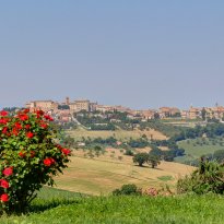 Ostra Le Marche