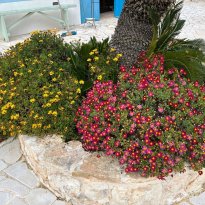 Ceglie Messapica Puglia