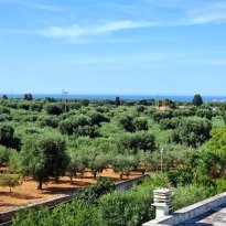 Montalbano Puglia