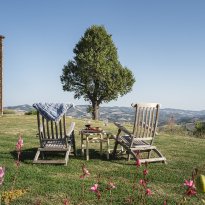 Pergola Le Marche