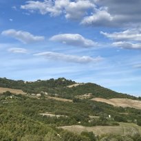 Pergola Le Marche
