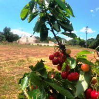 Ceglie Messapica  Puglia