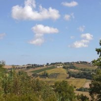 Belvedere Ostrense Le Marche