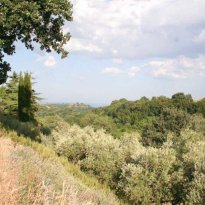 Montefiore dell'Aso Le Marche