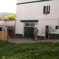 Force Le Marche