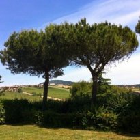 Camerano Le Marche