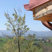 Tolentino Le Marche