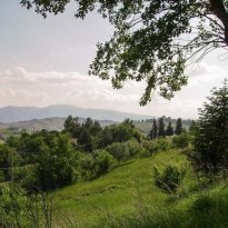 Tolentino Le Marche